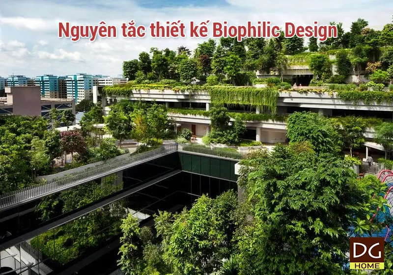 Nguyên tắc thiết kế Biophilic Design