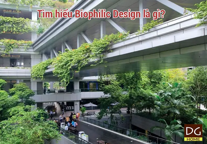 Tìm hiểu Biophilic Design là gì?